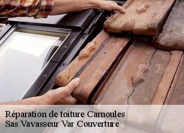 Réparation de toiture carnoules-83660 Sas Vavasseur Var Couverture