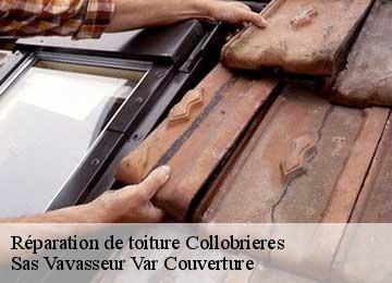 Réparation de toiture collobrieres-83610 Sas Vavasseur Var Couverture