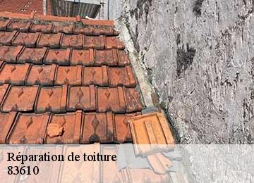 Réparation de toiture 83610
