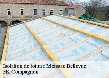 Isolation de toiture  moissac-bellevue-83630 FK Compagnon