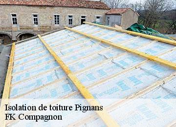 Isolation de toiture  pignans-83790 FK Compagnon