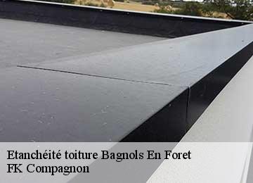 Etanchéité toiture  bagnols-en-foret-83600 FK Compagnon