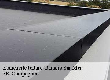 Etanchéité toiture  tamaris-sur-mer-83500 FK Compagnon