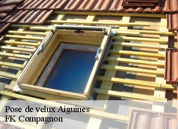 Pose de velux  aiguines-83630 FK Compagnon