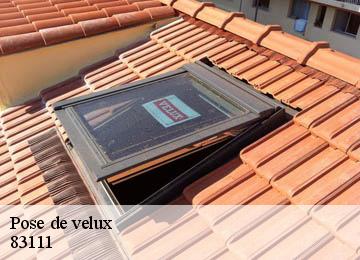 Pose de velux  83111