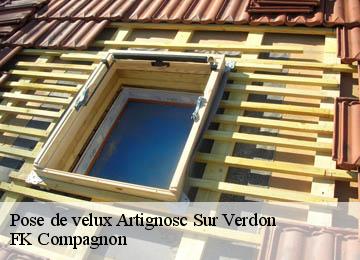 Pose de velux  artignosc-sur-verdon-83630 FK Compagnon