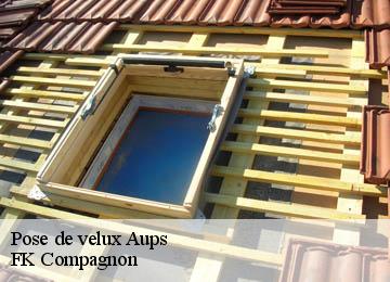 Pose de velux  aups-83630 FK Compagnon