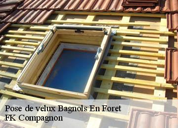 Pose de velux  bagnols-en-foret-83600 FK Compagnon