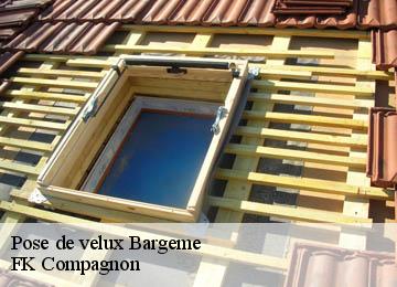 Pose de velux  bargeme-83840 FK Compagnon