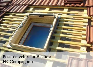 Pose de velux  la-bastide-83840 FK Compagnon