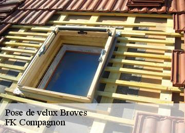 Pose de velux  broves-83440 FK Compagnon