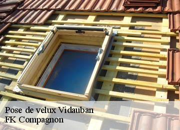 Pose de velux  vidauban-83550 FK Compagnon