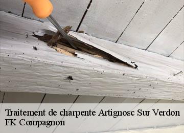 Traitement de charpente  artignosc-sur-verdon-83630 FK Compagnon