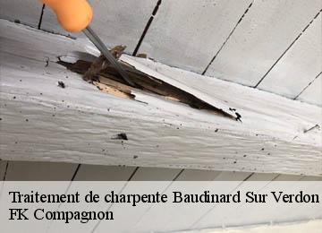 Traitement de charpente  baudinard-sur-verdon-83630 FK Compagnon