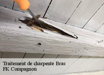 Traitement de charpente  bras-83149 FK Compagnon