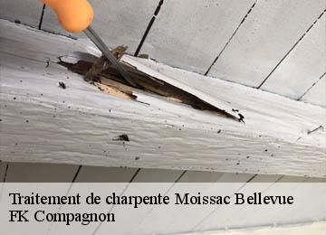 Traitement de charpente  moissac-bellevue-83630 FK Compagnon