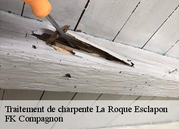 Traitement de charpente  la-roque-esclapon-83840 FK Compagnon