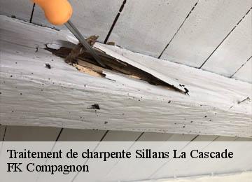 Traitement de charpente  sillans-la-cascade-83690 FK Compagnon