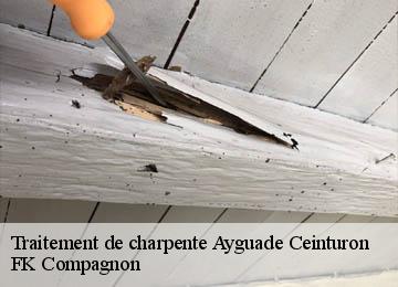 Traitement de charpente  ayguade-ceinturon-83400 FK Compagnon