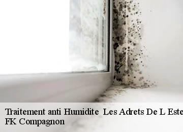 Traitement anti Humidite   les-adrets-de-l-esterel-83600 FK Compagnon