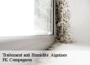 Traitement anti Humidite   aiguines-83630 FK Compagnon