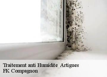 Traitement anti Humidite   artigues-83560 FK Compagnon