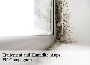 Traitement anti Humidite   aups-83630 FK Compagnon