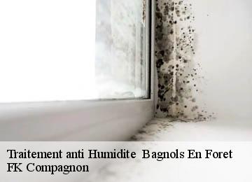 Traitement anti Humidite   bagnols-en-foret-83600 FK Compagnon