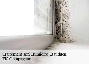 Traitement anti Humidite   bauduen-83630 FK Compagnon