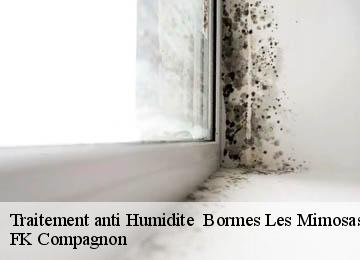 Traitement anti Humidite   bormes-les-mimosas-83230 FK Compagnon