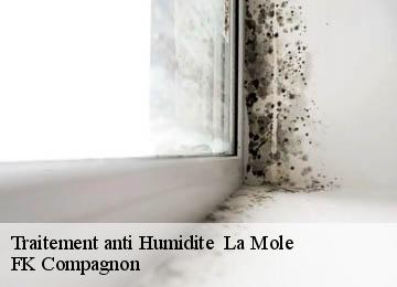 Traitement anti Humidite   la-mole-83310 FK Compagnon