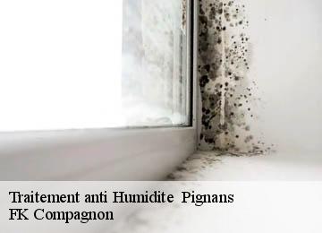 Traitement anti Humidite   pignans-83790 FK Compagnon