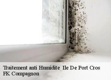 Traitement anti Humidite   ile-de-port-cros-83400 FK Compagnon