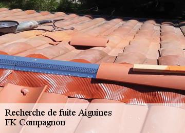 Recherche de fuite  aiguines-83630 FK Compagnon