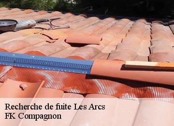 Recherche de fuite  les-arcs-83460 FK Compagnon