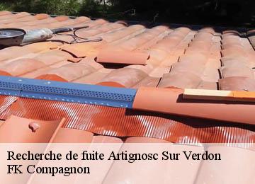 Recherche de fuite  artignosc-sur-verdon-83630 FK Compagnon