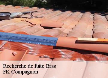 Recherche de fuite  bras-83149 FK Compagnon