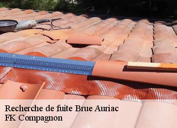 Recherche de fuite  brue-auriac-83119 FK Compagnon