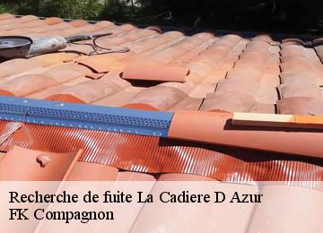 Recherche de fuite  la-cadiere-d-azur-83740 FK Compagnon