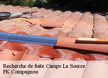 Recherche de fuite  camps-la-source-83170 FK Compagnon