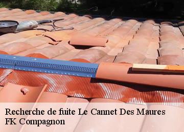 Recherche de fuite  le-cannet-des-maures-83340 FK Compagnon