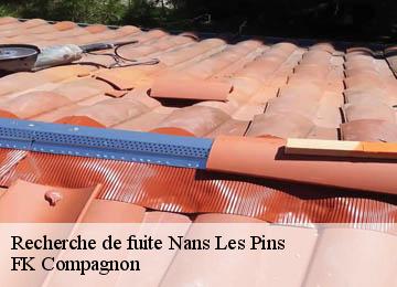 Recherche de fuite  nans-les-pins-83860 FK Compagnon