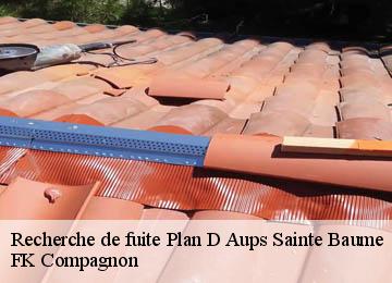 Recherche de fuite  plan-d-aups-sainte-baume-83640 FK Compagnon