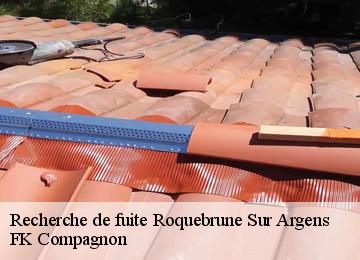 Recherche de fuite  roquebrune-sur-argens-83520 FK Compagnon