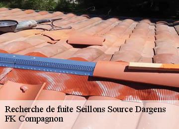 Recherche de fuite  seillons-source-dargens-83470 FK Compagnon