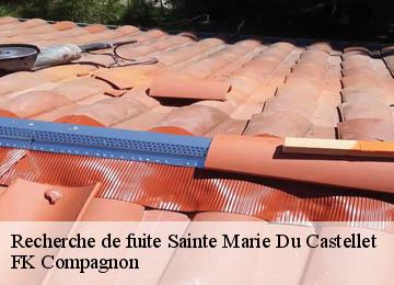 Recherche de fuite  sainte-marie-du-castellet-83330 FK Compagnon