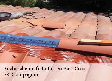 Recherche de fuite  ile-de-port-cros-83400 FK Compagnon